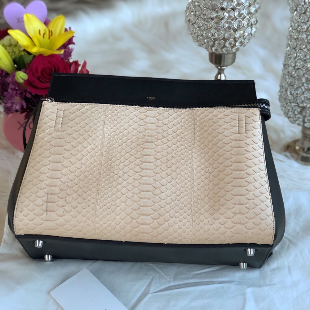 A brand new Celine snake skin hand bag